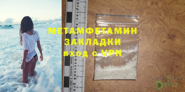 сатива Новодвинск